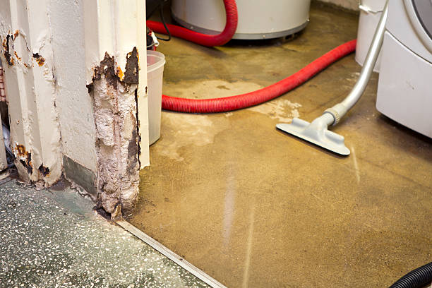 mold remediation Towson